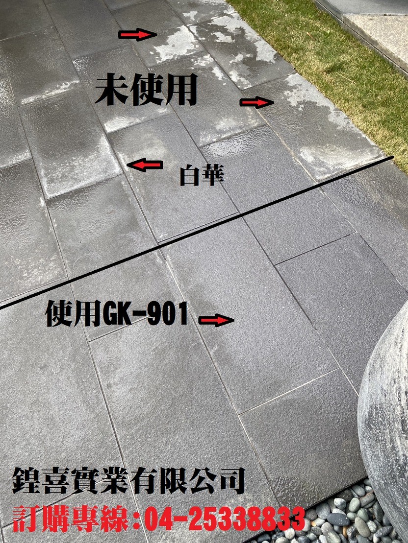 432712642_902097245259476_8810449137490538786_n.jpg